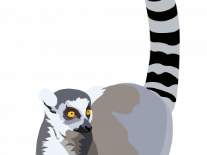 Lemur Vector Transparent