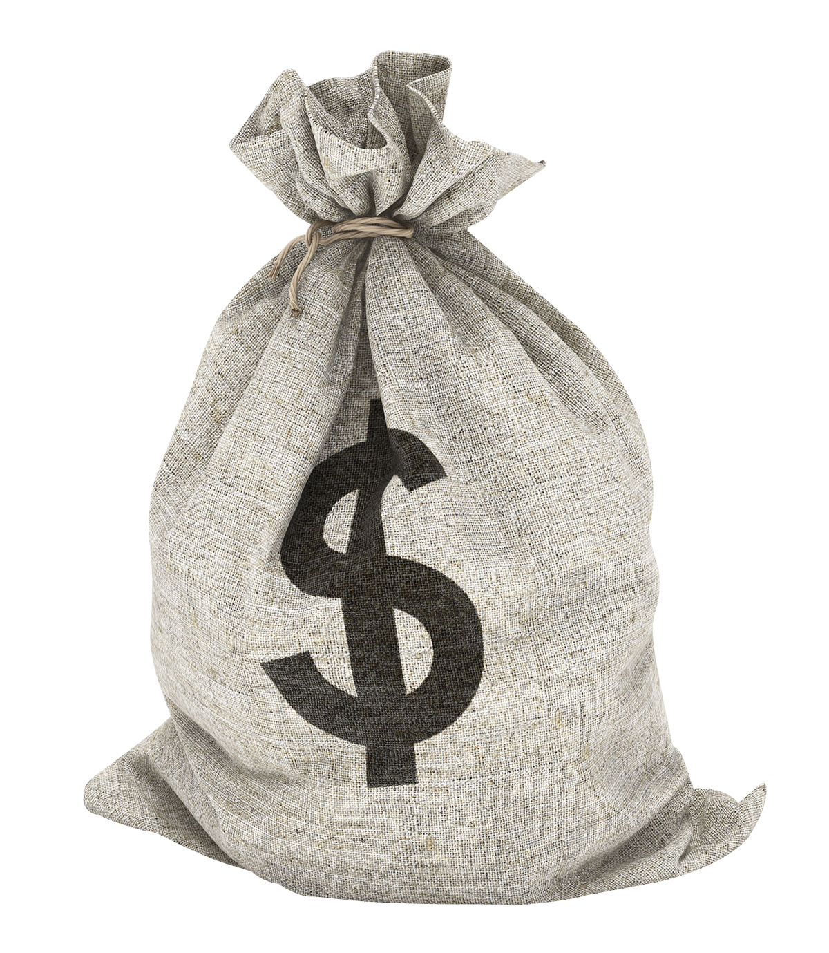 Download Money Bag Picture HQ PNG Image
