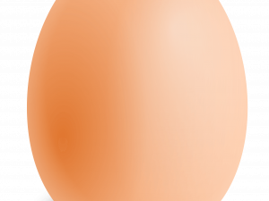 Pngegg PNG HD Image