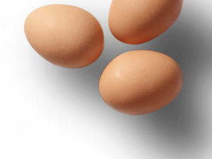 Pngegg PNG Image