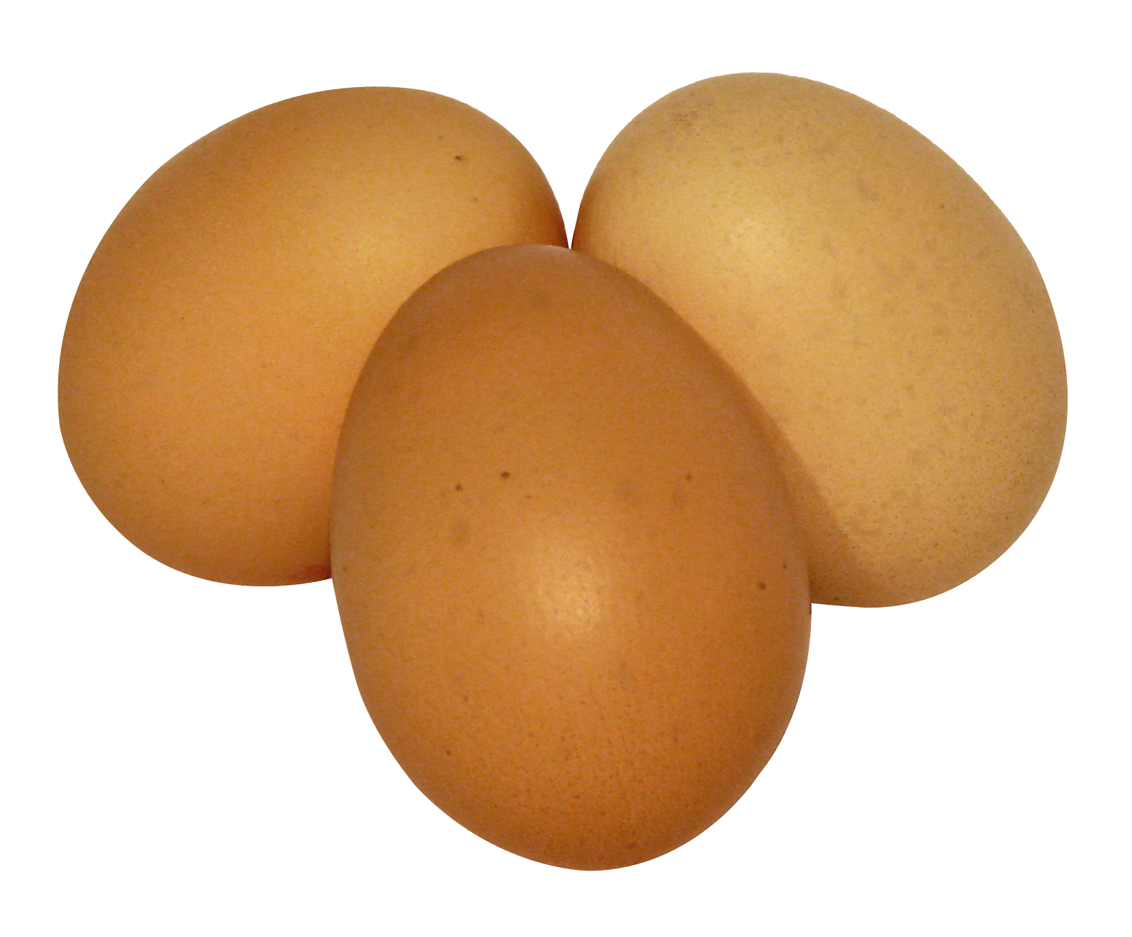 Roasted Duo Eggs PNG Images & PSDs for Download