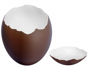 Pngegg Transparent