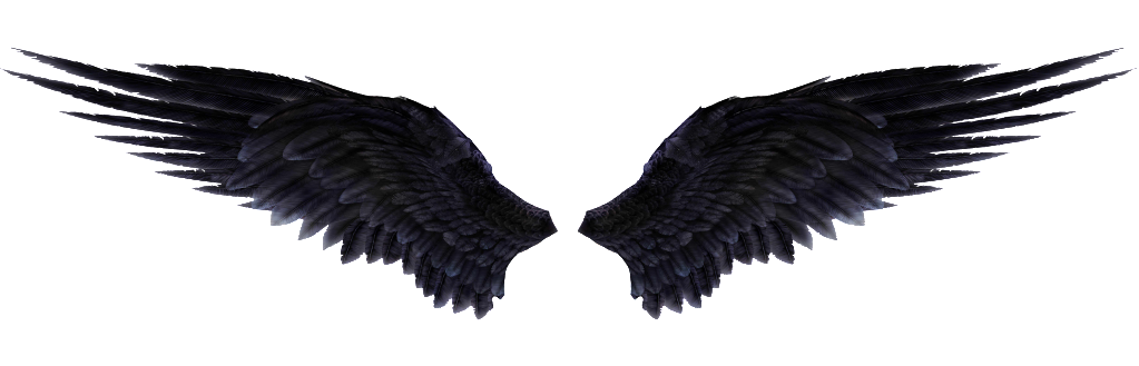 Pngwing PNG Image - PNG All