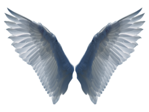 Pngwing PNG Picture