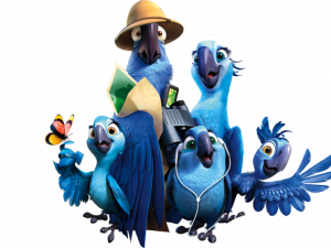 Rio Bird PNG Photo