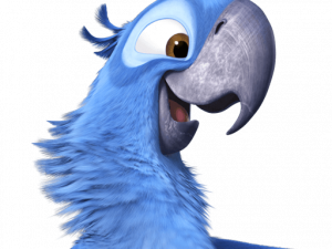 Rio Bird PNG Photos