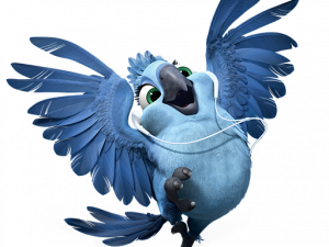 Rio Bird PNG Pic