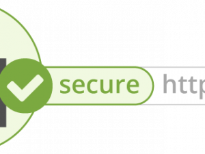 Secure HTTPS Connection PNG Cutout