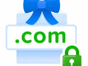 Secure HTTPS Connection PNG Pic