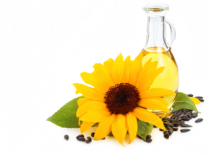 Sunflower Oil PNG Background