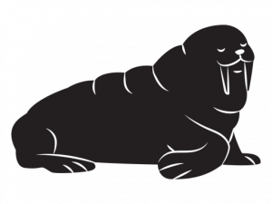 Walrus Mammal PNG Clipart