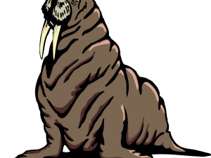 Walrus Mammal PNG Images