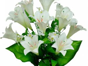 White Lily Flower PNG