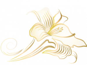 White Lily Flower PNG Pic