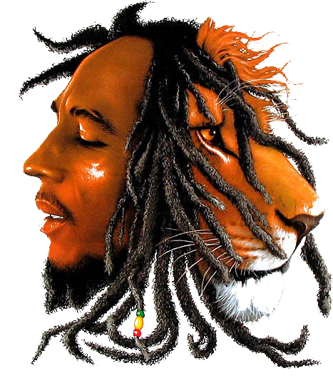 Bob Marley One Amor