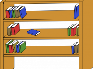 Bookshelf No Background