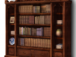 Bookshelf Wall PNG