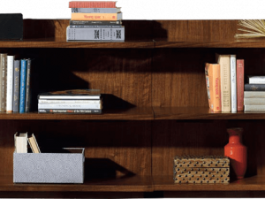 Bookshelf Wall Transparent