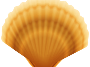 Clam PNG Photo