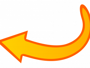 Curved Arrow Direction PNG