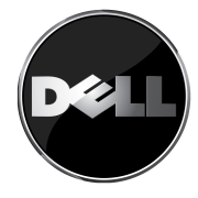 Dell Logo PNG Cutout