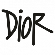 Dior Logo Tshirt Trang Sắt trên  Áo thun png tải về  Miễn phí trong suốt  Văn Bản png Tải về