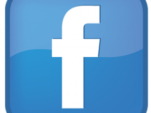 Facebook logo, social media icon, online networking platform, digital communication, FB Logo PNG