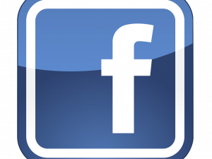 social media icon, Facebook logo, online networking, digital communication, FB Logo PNG