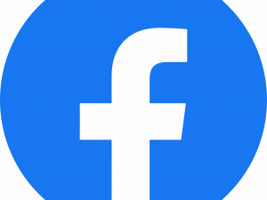 fb logo, digital media, social emblem, facebook network PNG