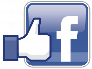 fb logo, network icon, social graphic, facebook badge PNG