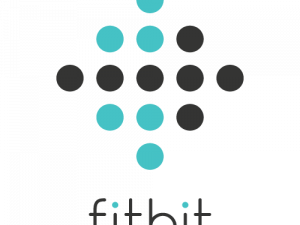 Fitbit Logo PNG Photo