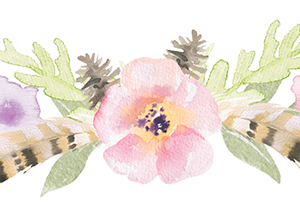 Flower Divider PNG Clipart