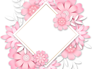 Girly Border PNG Images