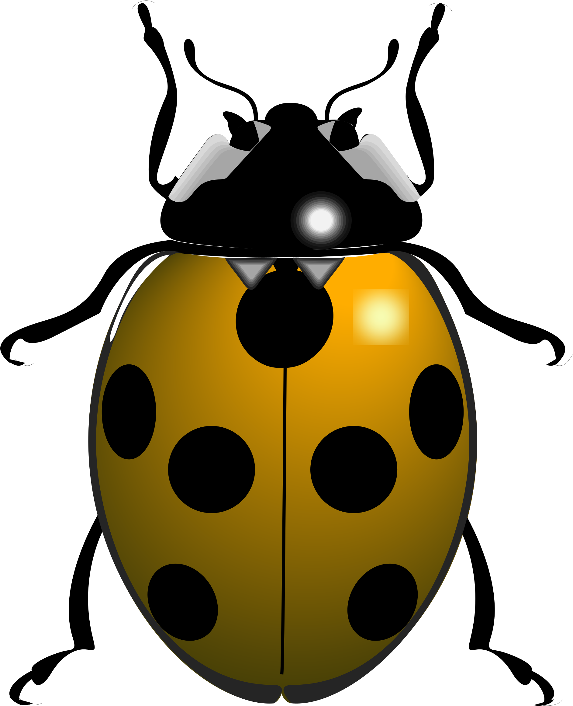 Ladybird Beetle The Ladybug PNG, Clipart, Animals, Arthropod, Beetle, Clip,  Drawing Free PNG Download