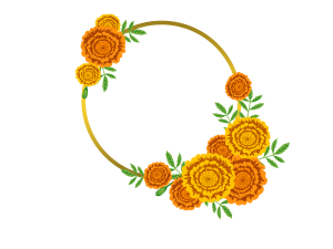 Marigold PNG Photo