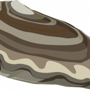 Mussel Png