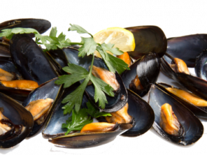 Mussel PNG Picture