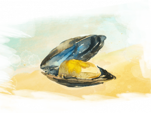 Mussel Seafood PNG