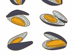 Mussel Seafood PNG Clipart