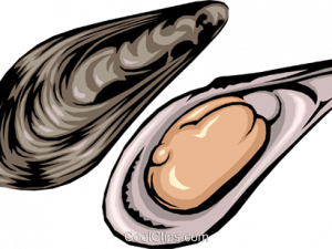 Mussel Seafood PNG Image HD