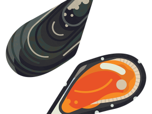 Mussel Seafood PNG Images