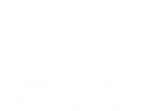 Need For Speed PNG Image File