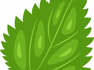 Nettle PNG Clipart