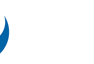 Pepsi Logo PNG Cutout