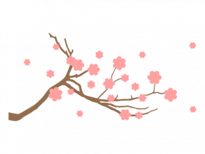 Sakura PNG Clipart