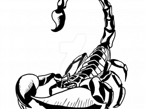 Scorpion Tattoo PNG HD Image