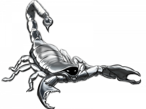 Scorpion Tattoo PNG Photos