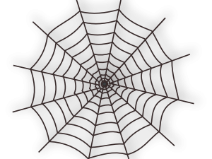 Spider Web Background PNG