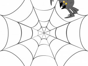 Spider Web PNG Clipart