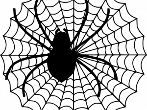 Spider Web PNG Cutout